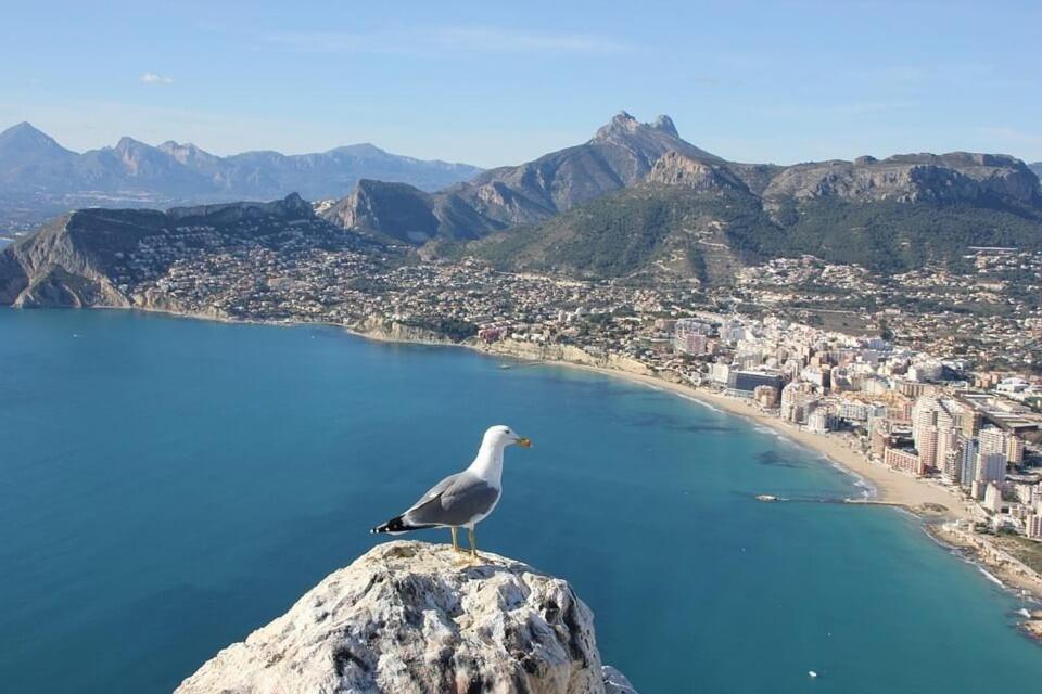 Villa Senieta - Plusholidays Calpe Ngoại thất bức ảnh
